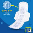 Ultra dry pad