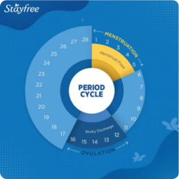 Stayfree Period Cycle